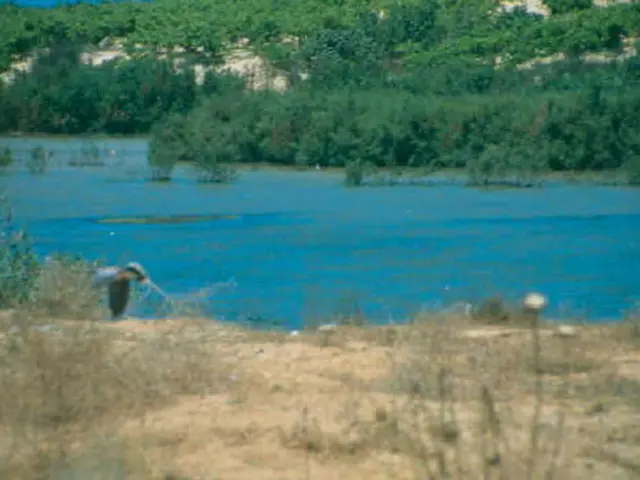 Water Containers and Rain Collectors: The Importance in Eco-Friendly Horticulture