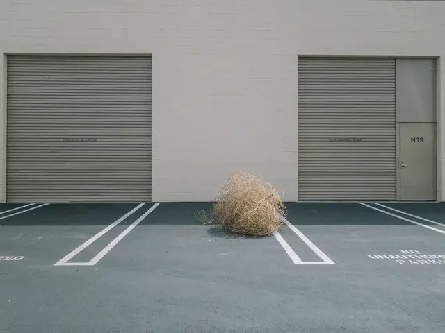 Elevating Your Digital Existence Through the Power of High-Speed Internet