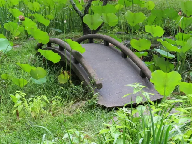 "The Saxon word 'Budzsch' has been selected as the Word of the Year for 2023."