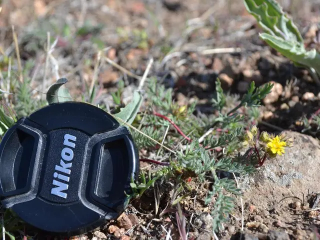 Applying the Third Step of Lawn Fertilizer: Timing Matters