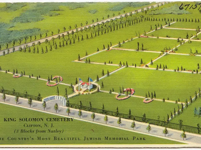 Backyard Activities Now Illegally Prohibited: A List of 20 Actions