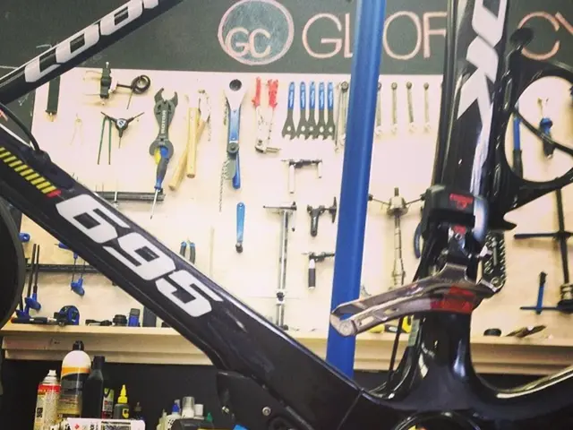 Ukulele: An Ideal Musical Instrument for Novice Players