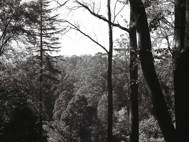 Toughest trees globally thrive in the harshest environments. Pondering over whether to cultivate...