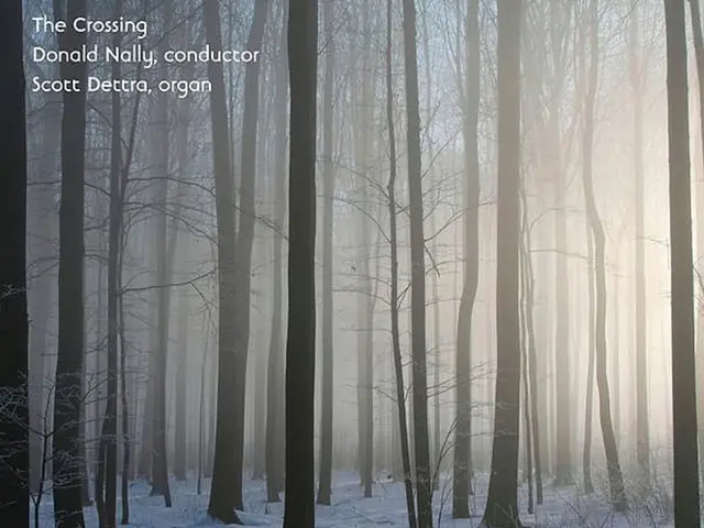 Winter Plant Care: Coping with Winter Burn and Frost Injuries