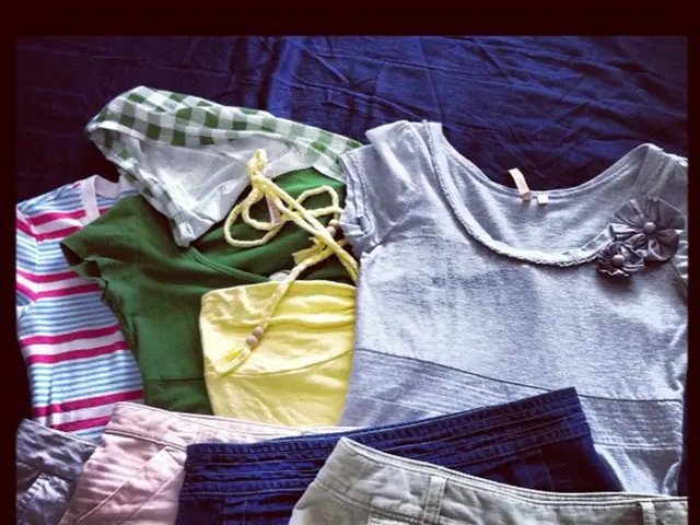 Items from Everlane that will receive frequent use, making their cost essentially recurring.