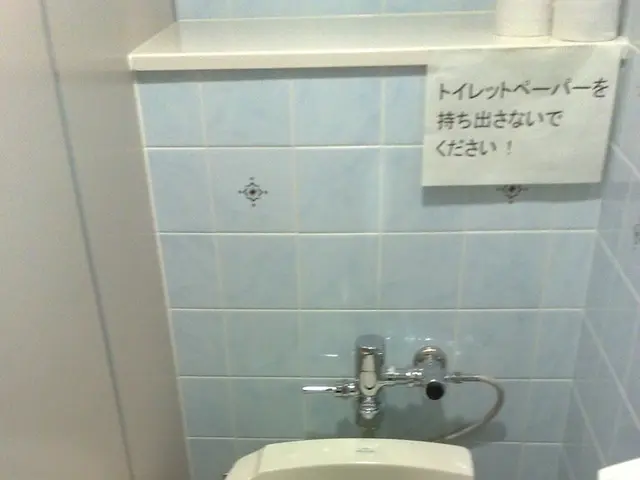 Understanding Toilet Blockages: Causes and Preventive Measures