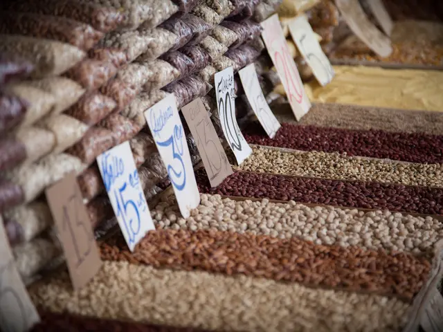 Guiding Steps for Growing Grains and Creating Home-made Sprouted Grain Flour