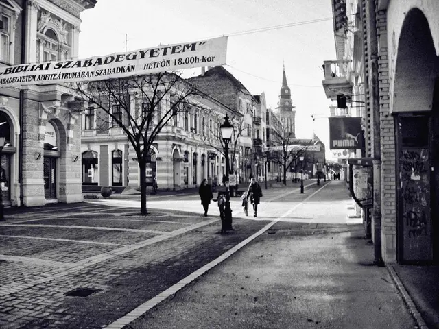 Historically restricted grounds at Temple Newsam now equipped with accessibility routes opened