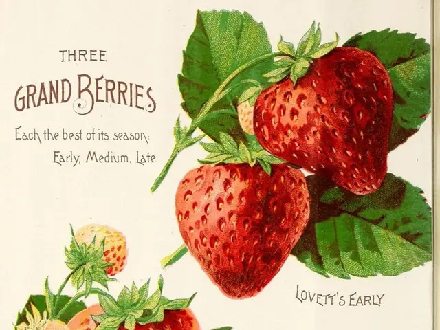 Summer literary journey embarks at Grapevine's Animal Talk bookstore