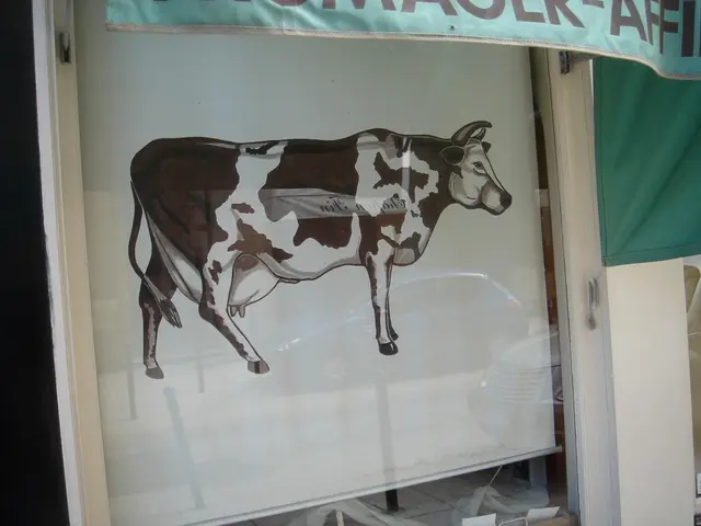 Celebratory Dessert Prepared for a Cow's Anniversary