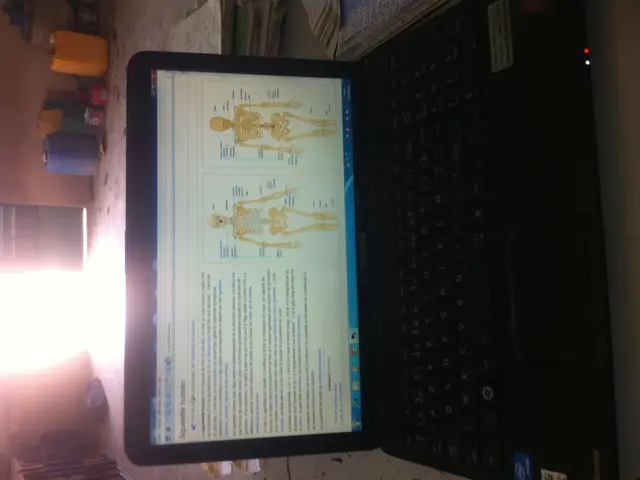 Top-tier budget laptops of 2025: affordable options priced under £500