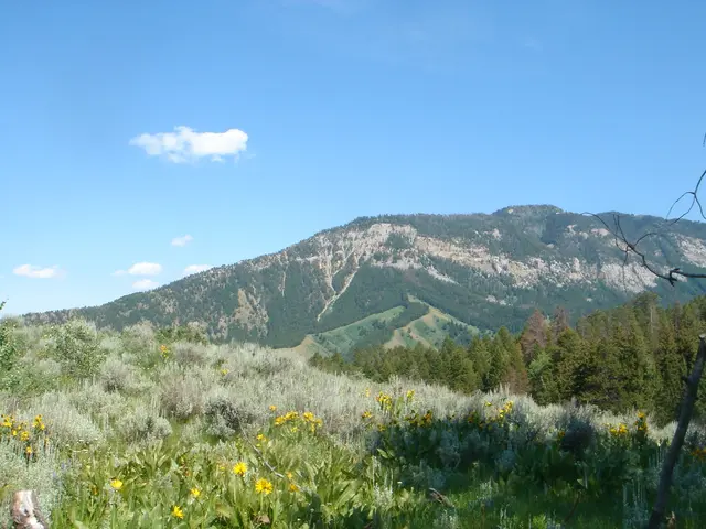 Photography is now a form of meditation for me, transforming my perspective entirely.