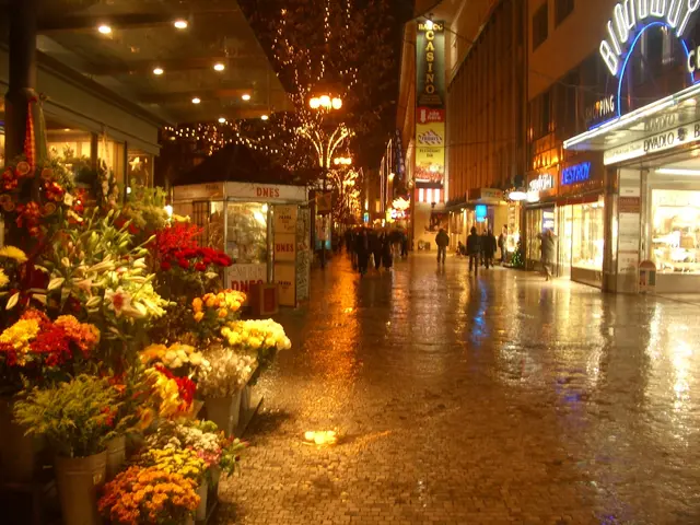 Thousands of Bloom-Filled Streets in Redondo Expected to Draw 150,000 Visitors by August 10th