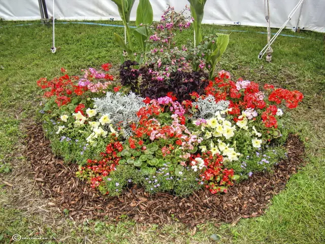 Bonn's Botanical Garden Hosts VHS Display