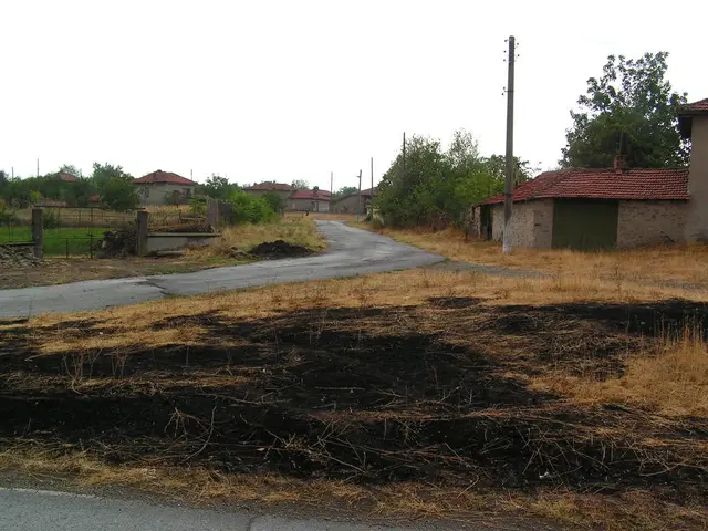 Exploring an Environmentally Friendly Haven: The Essex Eco House, now re-listed at a reduced price...
