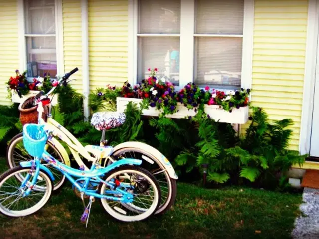 Enhanced Greenhouse Airflow Systems Foster Plant Growth