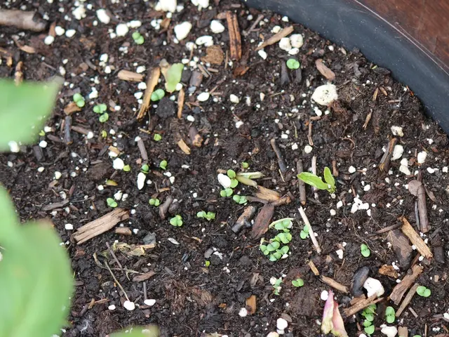 Soil Health and Testing Strategies: A Comprehensive Guide to 10 Techniques