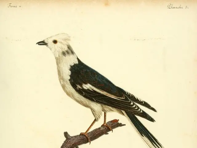 Instant soil enrichment by bird droppings: a single application substitutes all fertilizer needs.