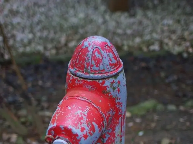 Round-the-Clock Plumbing Specialists in Toronto - Offering Services Without Extra Charges for Night...