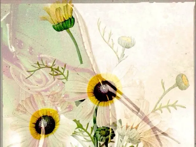 Unveiled Hoka Silhouette Offers Optimal Comfort for Strolling Sessions