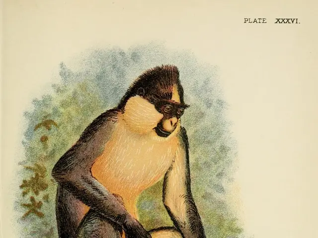 Guide to Tying a Monkey's Paw Knot