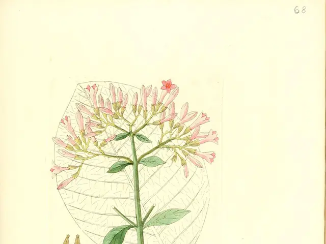 Ancient Gardeners' Favorite Tool Fades in Modern Times: The Hidden Advantage of Planting With This...