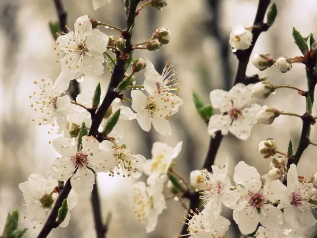 Concerned About Unwanted Vegetation? Familiarize Yourself with 8 Common Varieties - Along with...