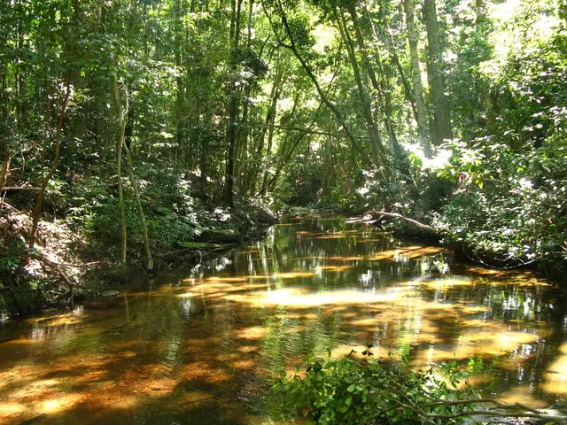 Redesign of Kampstrasse Canal in Marl Drewer