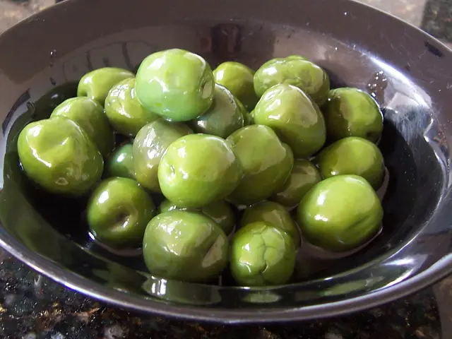 Methods for Cultivating Olive Trees