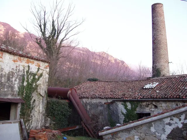 Indian Joseph Lobo Achieves Milestone of Cultivating Expensive Miyazaki Mangoes on Terrace