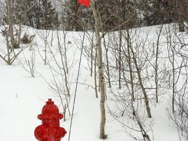 Sun-Loving Hydrangeas for Brighter Landscapes: Discover Top 4 Shrubs Thriving in Bright Yards and...