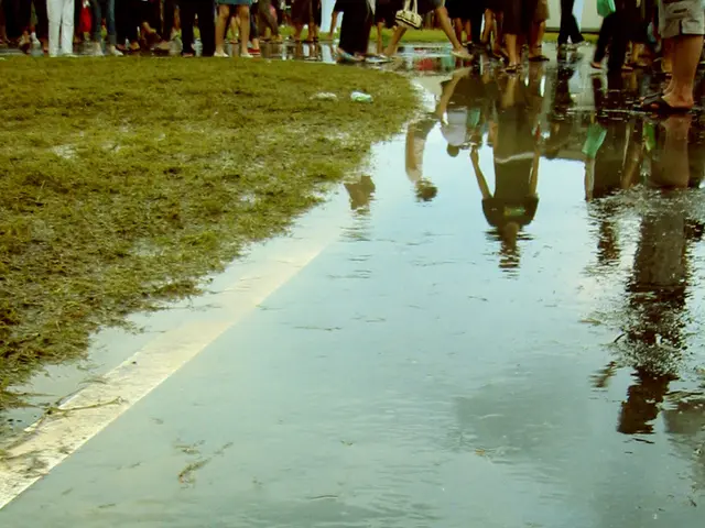 Collecting Rainwater for Domestic Water Safety and Self-Sufficiency