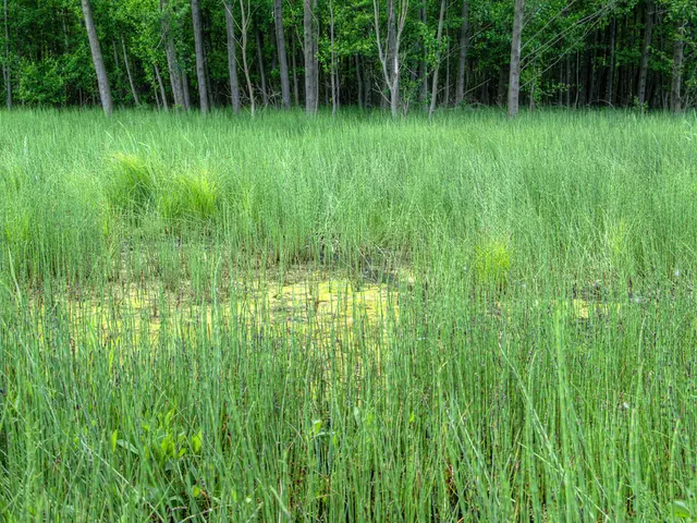 Vineyards owned by Waitrose have received recognition for adhering to regenerative farming...