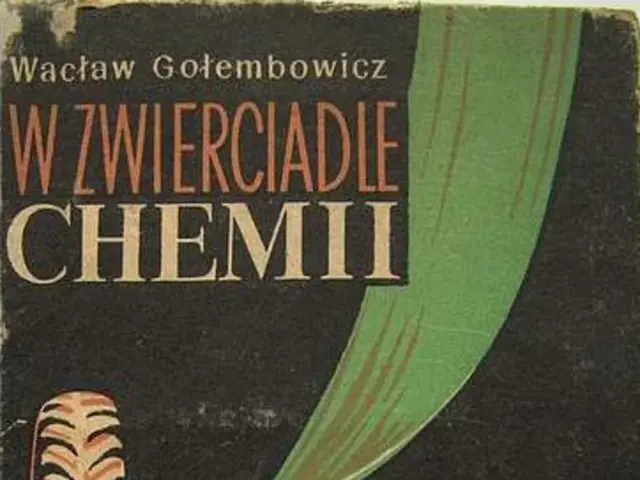 Recycled tire rubber utilization in a circular economy, along with a padel tournament taking place.