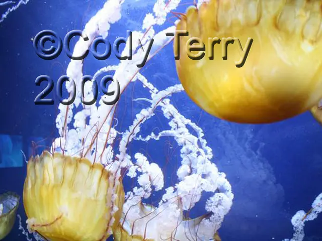 Reusable Ceramic Bowls Crafted from Used Coffee Filters