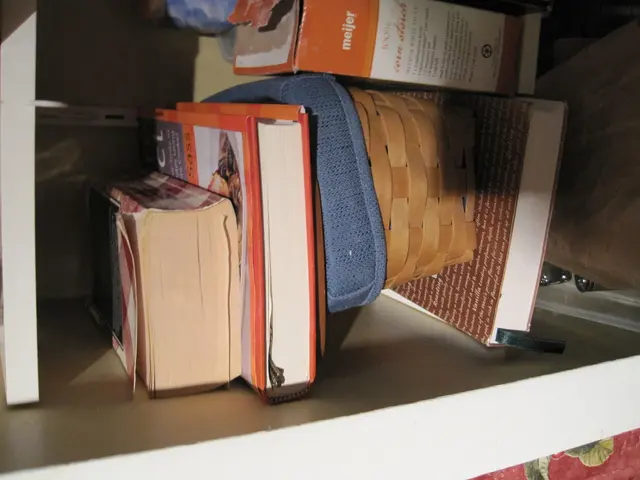 Best Options for 20 Organizations to Prevent Home Disorder: A Guide for Those Who Hate Clutter and...