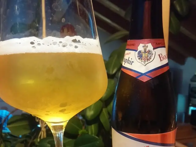 Grape harvesting operations commence in Krasnodar, Kuban region