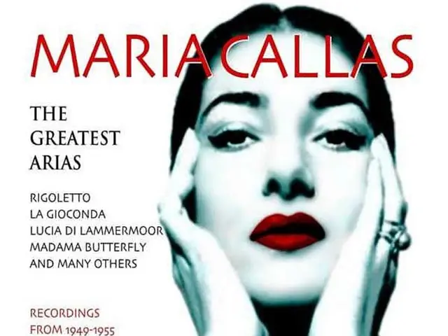 "In the spirit of emotional depth": If you found L'Amie prodigieuse captivating, this novel nestled...