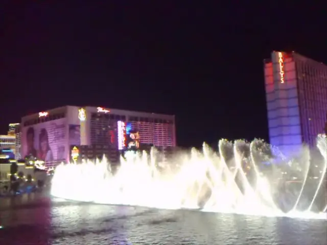 In a mesmerizing spectacle unique to Hamburg, the artful fusion of water, light, and music...