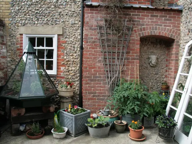 Indoor Plant Care: Discover 8 Homemade Potting Mixes to Boost Your Houseplants' Luster