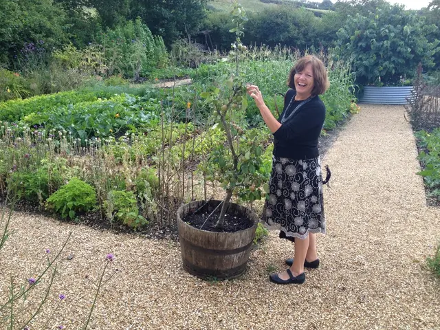 Forsythia Cultivation and Maintenance Tips