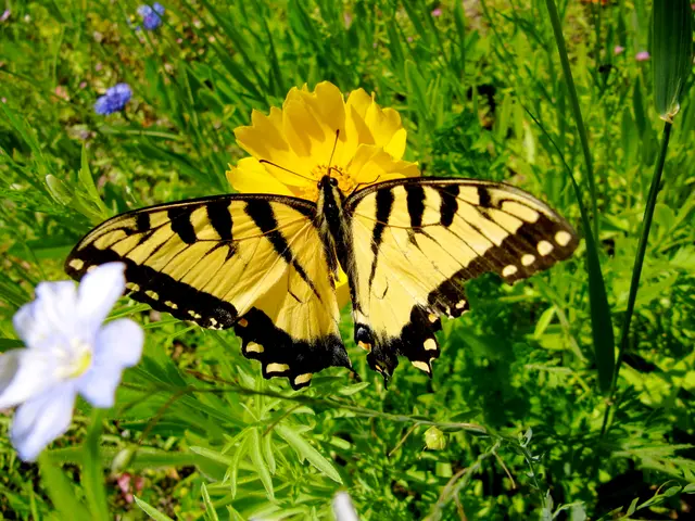 Terrifying vegetation for Halloween: uncovering the botanicals that can transform your yard into a...