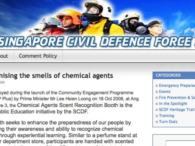 Tinkering with Website Design Templates