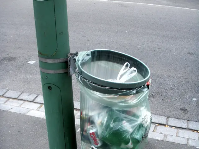 Downtown Winnipeg to introduce secured garbage containers