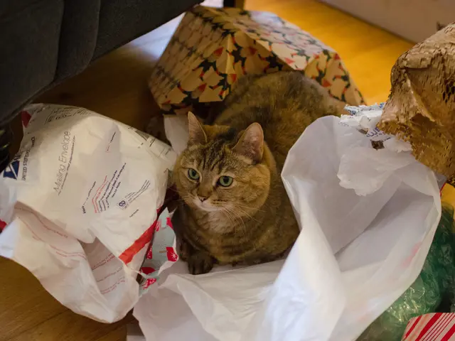 Cat litter brand PrettyLitter detected health issues in a pet cat before the visit to the...