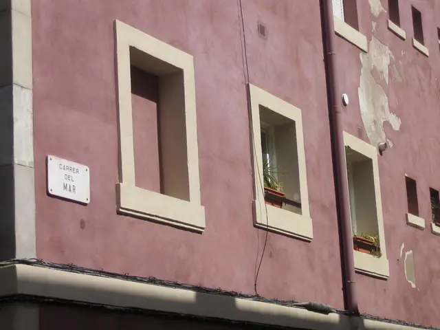 Transform Drainpipes into Aesthetic Accents: Decorative Trellis Converts It into a Style Statement