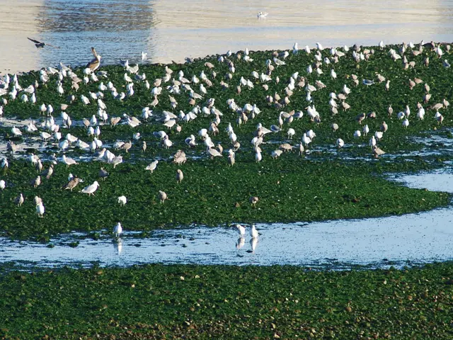 Engaging in outdoor leisure activities such as hiking or bird watching fosters a connection with...