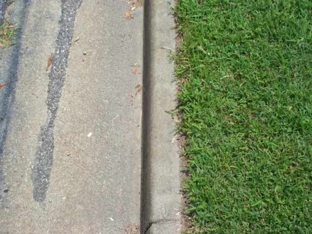 Reconsider discarding dryer lint as waste! Discover six innovative (yet practical) methods to...