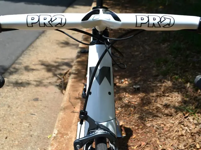 Closure of Ski Road Until 17 November: Cycle Routes 10 and 11 under Extension