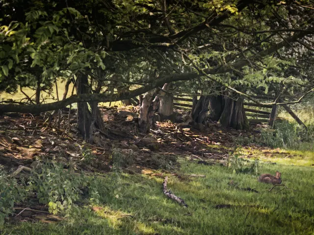 Effortless Gardening Without Excavation: An Intelligent Approach for Increased Yield With Minimal...